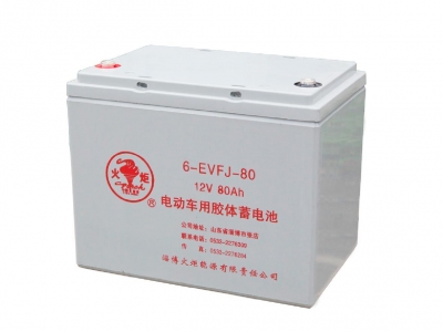 6-EVFJ-80 電動(dòng)車用膠體蓄電池