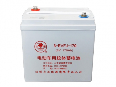 3-EVFJ-170 電動(dòng)車(chē)用膠體蓄電池