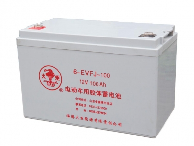 6-EVFJ-100 電動(dòng)車(chē)用膠體蓄電池